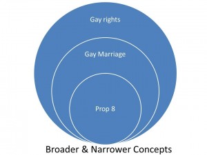 searchstrategy gay marriage