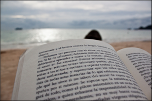 Book on Beach