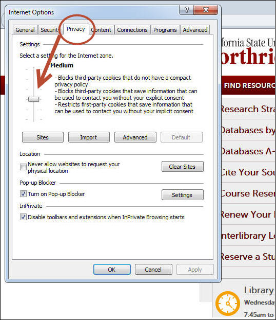 IE privacy options