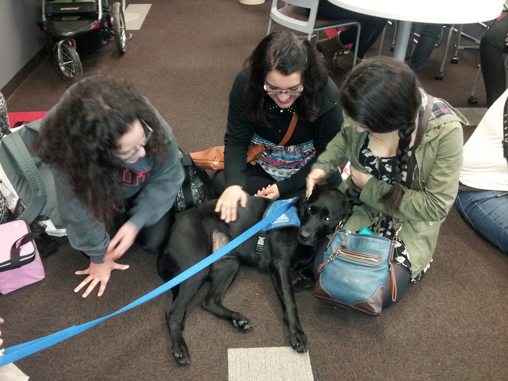 Therapy Dog with students