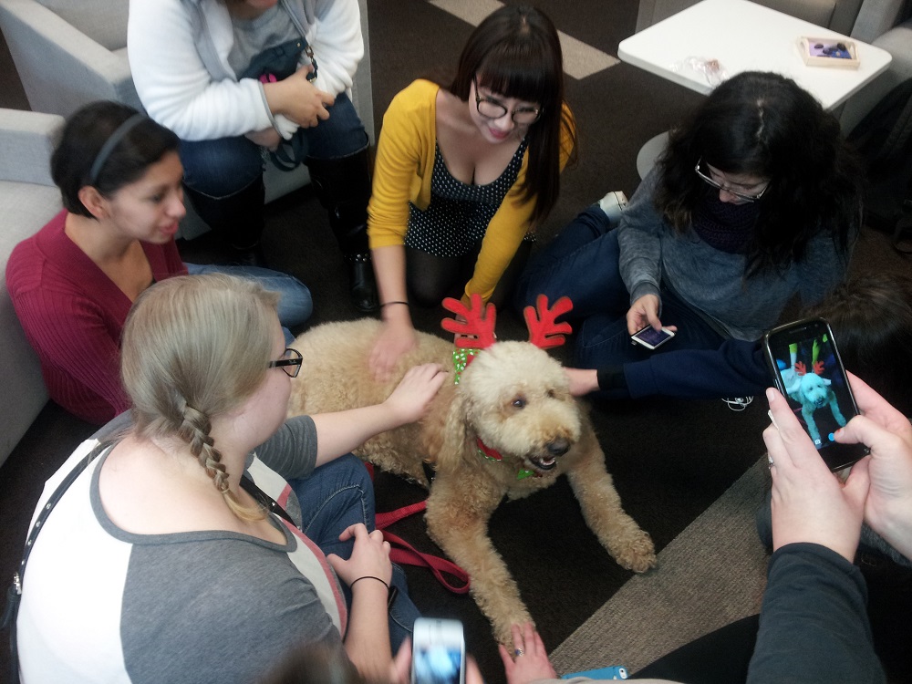 Therapy Dogs 6 with students