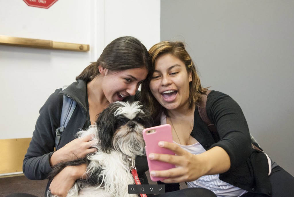 Girls taking their picture with a therapy dog