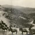 Mules hauling cement to mixer at Deadman's Syphon, ca. 1908 - Catherine Mulholland Collection