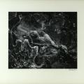 Fourteen photographs by Richard L. Julian, “Abstraction,” 1969, call # TR647 .J8