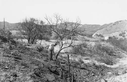 fire damage in Calabasas, ca. 1950s