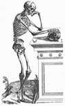 Skeleton studying a skull on a table