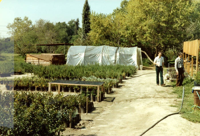 Greenhouse, saplings, and volunteers at the Sepulveda Wildlife Reserve, April 1981