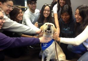 Students with a Therapy Dog