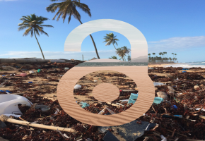 Open Access Logo superimposed over a littered beach