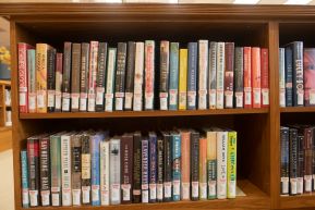 A shelf of hardback books with colorful spines and book jackets