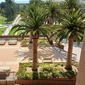 Trees, planters, and new pavers at the CSUN University Library