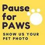 pause for paws show us your pet photo