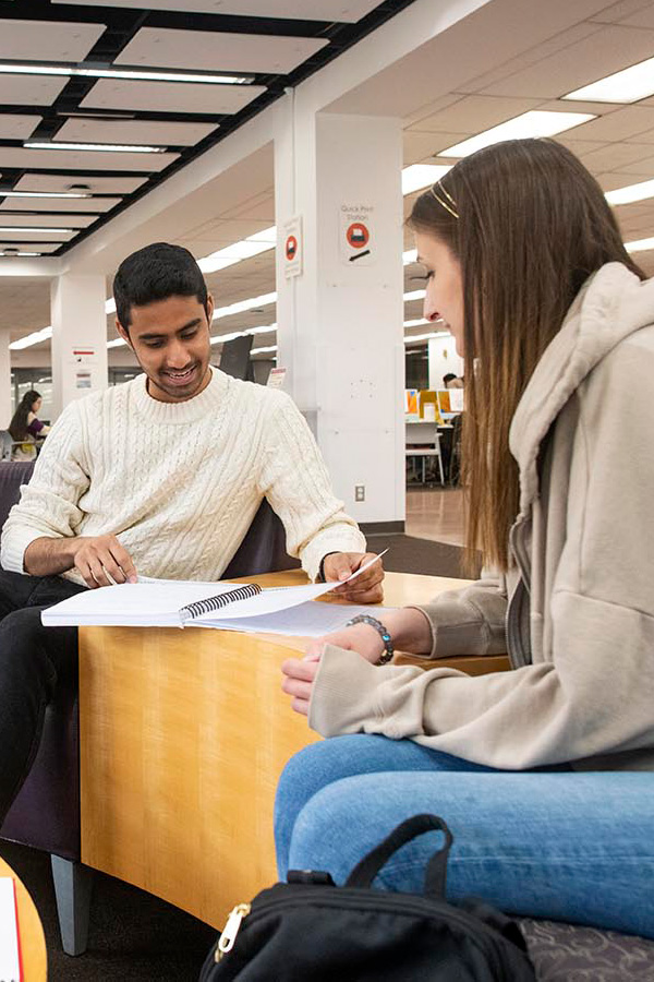 Students studying in the Learning Commons