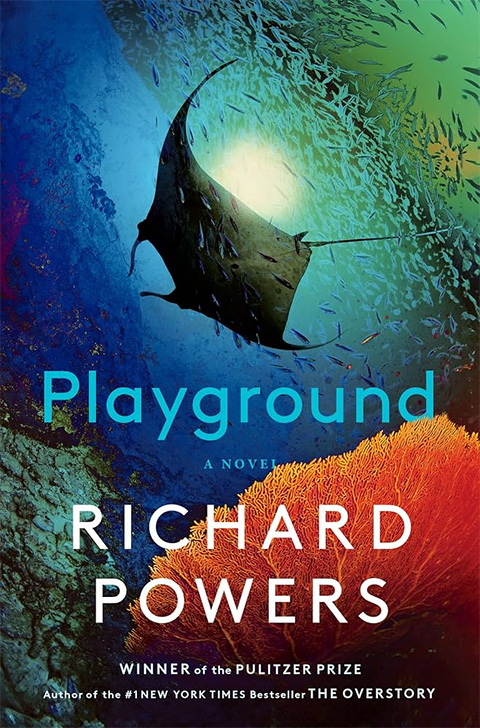 Cover of Playground: A Novel by Richard Powers