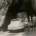 Photograph of Joan Haas and Patricia Mulholland at Yosemite