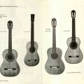 The evolution of guitars by Torres