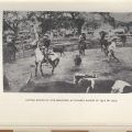 Photograph, Cattle round-up and branding at Russell Ranch in 1912 or 1913, Cattle on the Conejo
