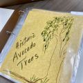 Cover Page from the Historic Avocado Trees Binder 