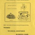 Promotional flier for training, technical assistance, and business loans through CWED