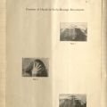 Photographs demonstrating where to place hands for a scalp massage