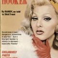 Cover, Diary of a Transvestite Hooker