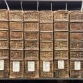 View of the spines of multiple volumes of the Encyclopedia, AE25.E55