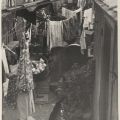 Photograph of cluttered backyards