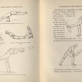 Pages showing illustrations of various exercises in Posse's Swedish System of Educational Gymnastics