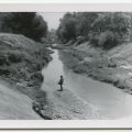 The Los Angeles River between Lindley Avenue and Reseda Blvd., 1952