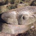 Carved stone boulder in the form of a toad at San Agustín Archaeological Park. Photo taken in 1975.Digital ID: 99.01.RCr.sl.B17.04.26.10