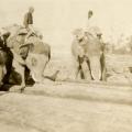 Laboring elephants