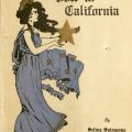 Cover, How We Won the Vote in California