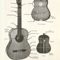Major parts of a classic guitar, in Classic Guitar Making by Arthur E. Overholtzer