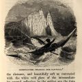 Illustration captioned "Greenlander spearing the Narwhal" from Winter in the Arctic Regions
