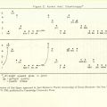 “Kurkin ikar: olowitinappi” Figure 3 of Kuna Discourse article by Joel Sherzer and Sammie Wicks, ML 1. L3 v. 3 no.2