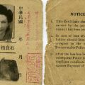 Undated identification form for Setty Sondheimer