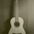 A Spanish classical guitar