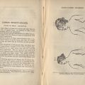 Pages outlining the harmful characteristics of corsets and other women's clothing from Beecher's Physiology and Calisthenics for Schools and Families