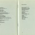 "Untitled" and "Sweet and Sour in Take No Prisoners by Ray Durem