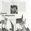 An article entitled, “Cesar Chavez—The Shy Mobilizer of American Workers,” documenting the grape picker’s march to Sacramento during a labor strike. Life Magazine, April 19, 1966. Julian Nava Collection 