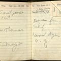 Vahdah’s appointment book that takes us to the moment on June 24, 1923 when she left for California from New York. Vahdah Olcott-Bickford Collection 