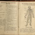 Definitions and illustrations of aeronautical terms and their meanings and major arteries and compression points of the human body