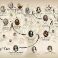 Family tree depicting the ancestors of Catherine Mulholland.