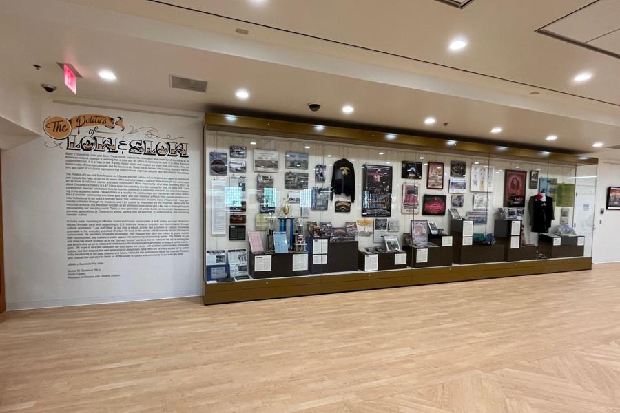 South Gallery Wall Case
