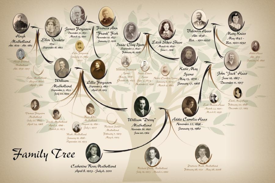 Family tree depicting the ancestors of Catherine Mulholland.