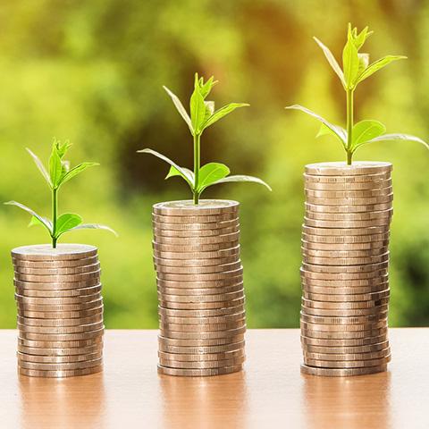 Coins with plants growing out of them