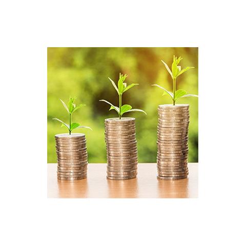 Coins with sprouts growing out of them