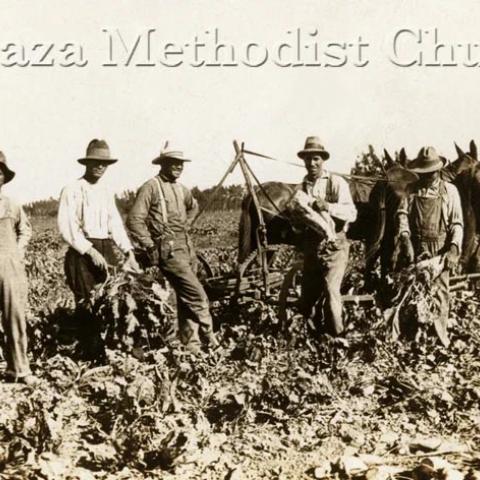 Farmers standing in the field with horses.