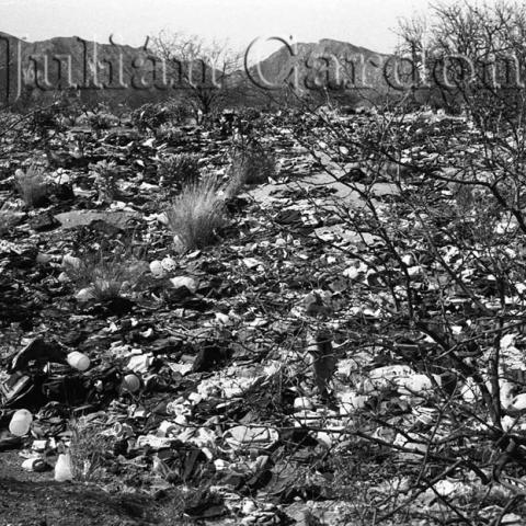 Debris in a field