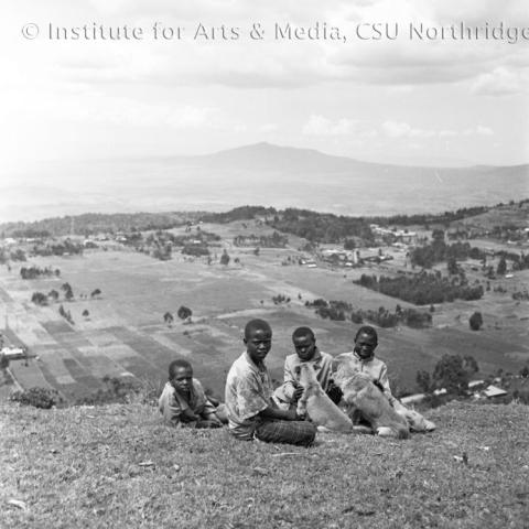 Boys sitting with dogs over a valley.